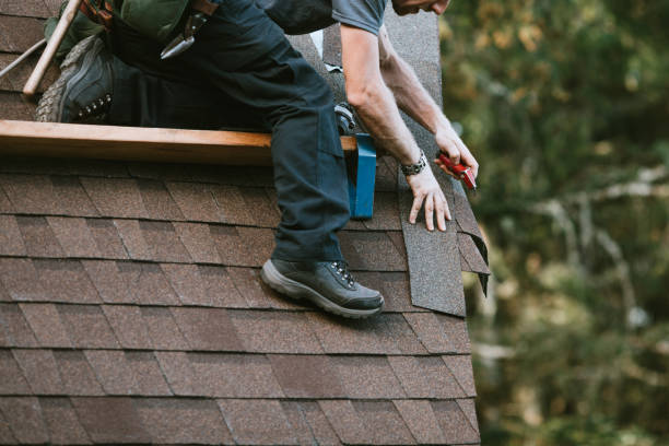 Best Shingle Roofing Installation  in Valley Forge, TN